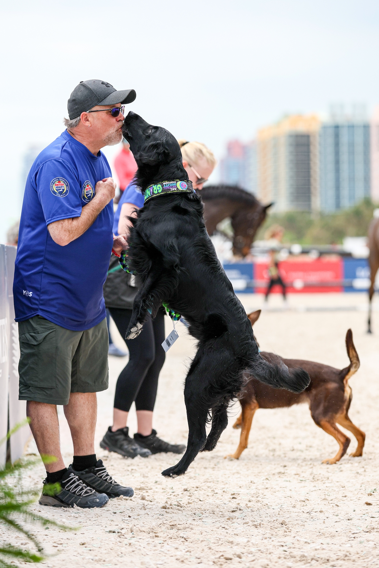 In Pictures Agility Dogs Jumped Into the Spotlight at LGCT Miami Beach